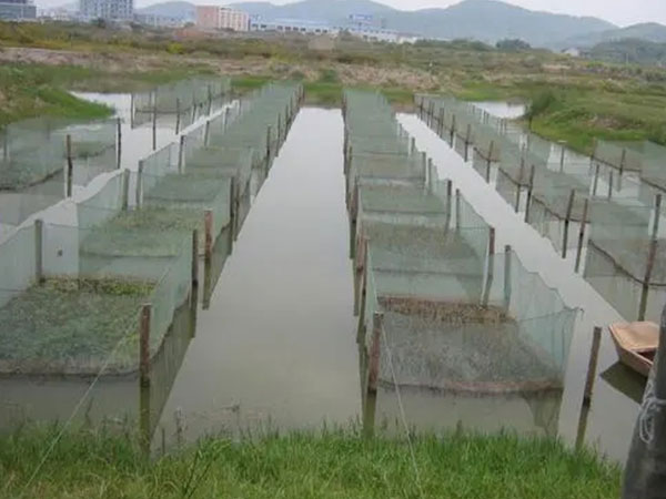 水產(chǎn)養(yǎng)殖污水處理